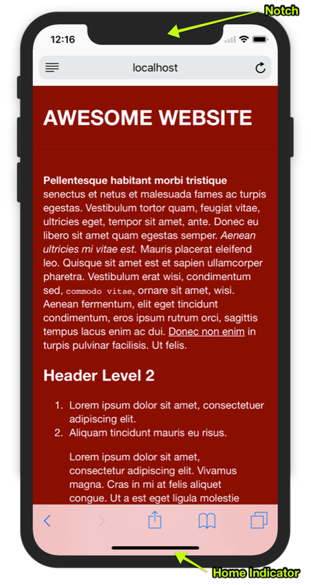 iPhone X notch and home indicator