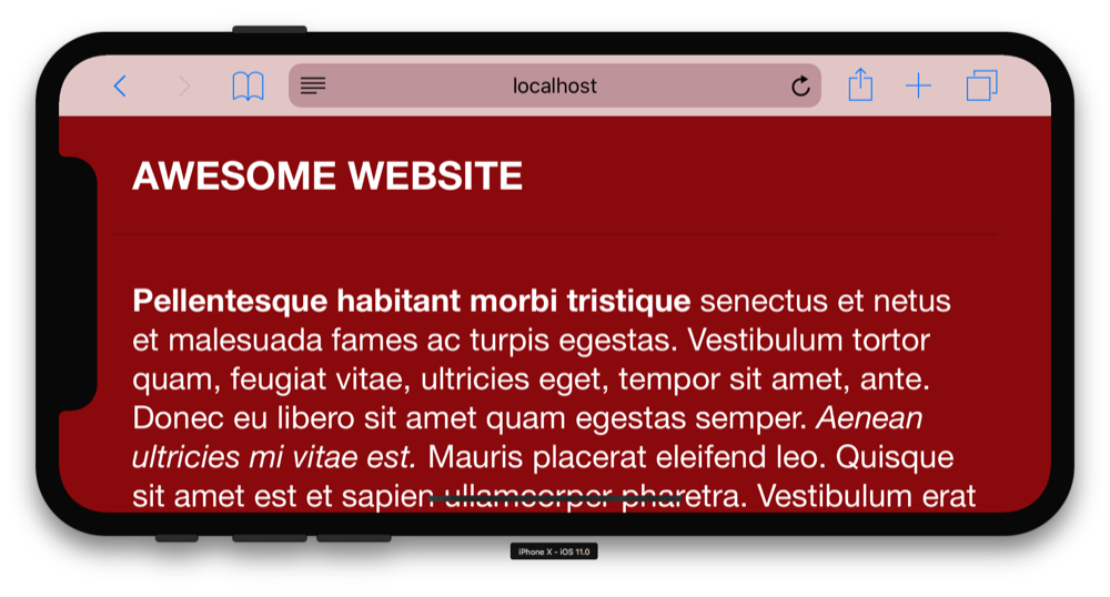 iPhone X landscape pillarboxes